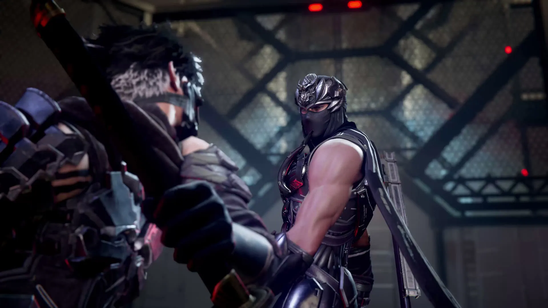 Ninja Gaiden 4 Video Game