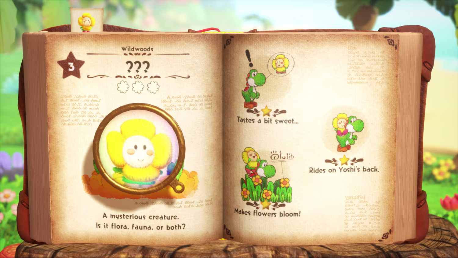 Yoshi and the Mysterious Book