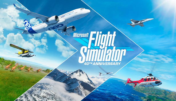 Microsoft Flight Simulator
