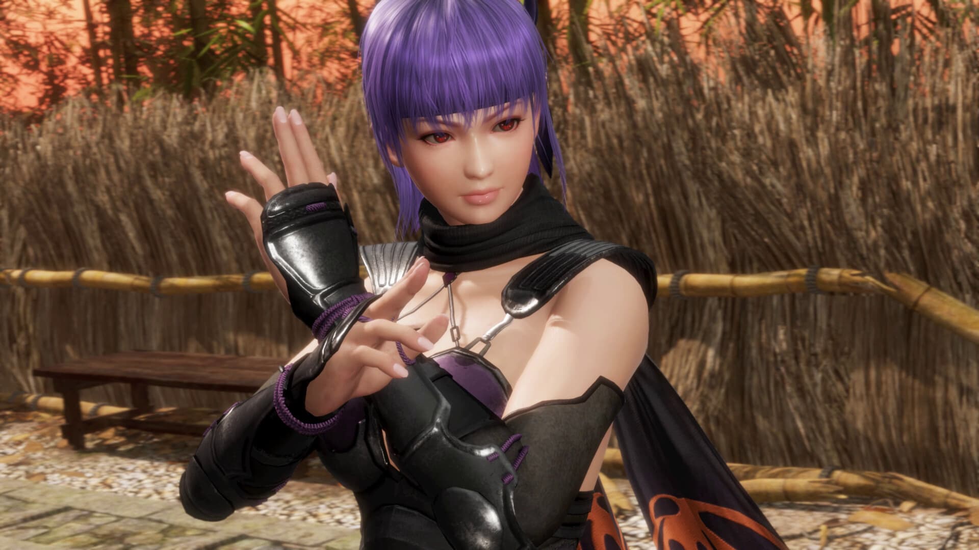 DEAD OR ALIVE 6: Last Round