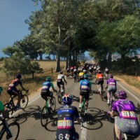 Pro Cycling Manager 25