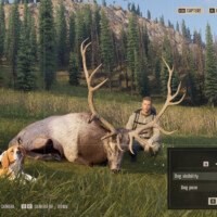 Way of the Hunter 2