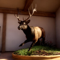 Way of the Hunter 2