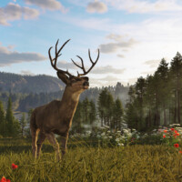 Way of the Hunter 2